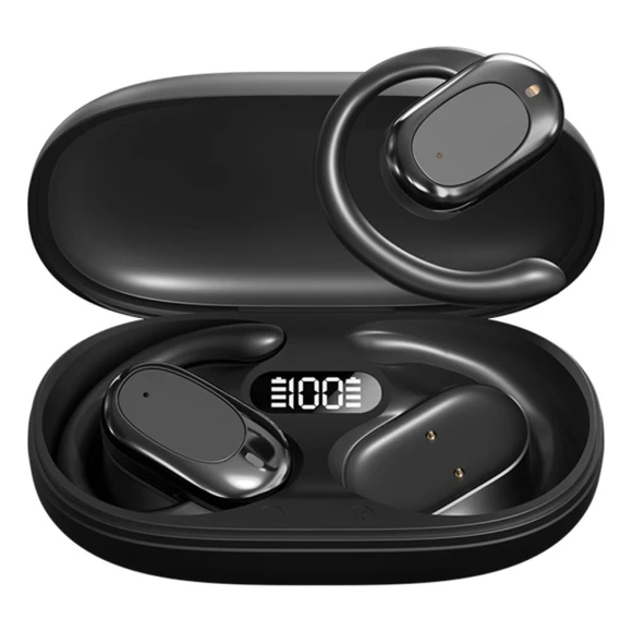 Wireless BT Language Translator Earbuds — Translator Device, Good Household Items