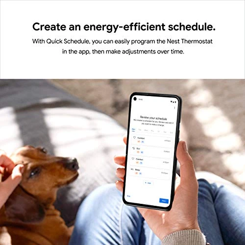 Smart Thermostat — Smart Thermostat, Google