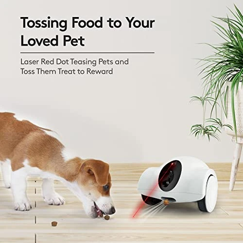 Pet Camera with Treat Dispenser and Interactive Laser — Robot Pet, Youpet