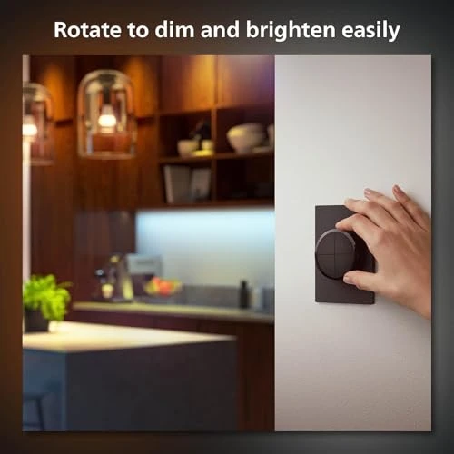 Wall Tap Dial Light Switch — Smart Switch, Philips Hue