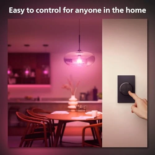 Wall Tap Dial Light Switch — Smart Switch, Philips Hue