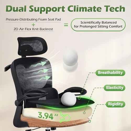 Ergonomic Desk Chair with Adjustable Lumbar Support and Headrest — Smart Chairs, AreShark