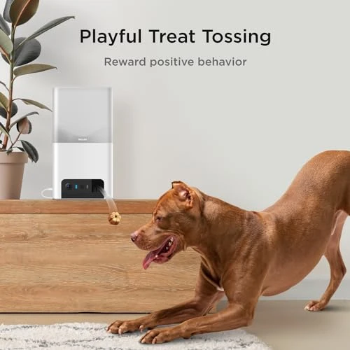 Interactive WiFi Pet Monitoring Camera with Treat Dispenser, Petcube