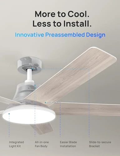 Smart Ceiling Fan with Lights — Smart Fan, Dreo