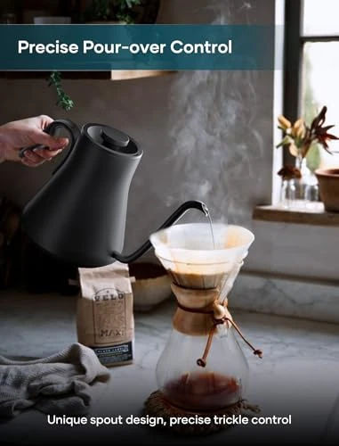 Electric Kettle with Precise Temperature Control — Electric Kettle, INTASTING