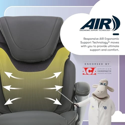 Executive Office Chair with Ergonomic Support and Adjustable Features — Smart Chairs, Serta