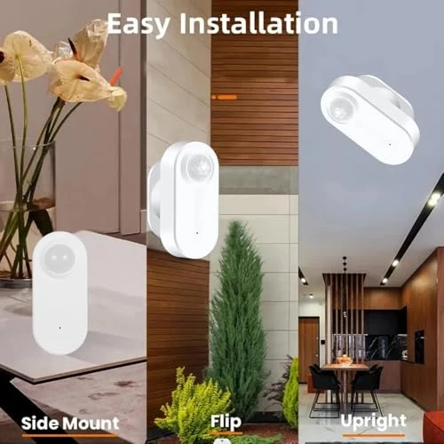 Smart Motion Sensor with Illuminance Detection, Haozee