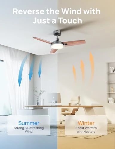 Smart Ceiling Fan with Lights — Smart Fan, Dreo