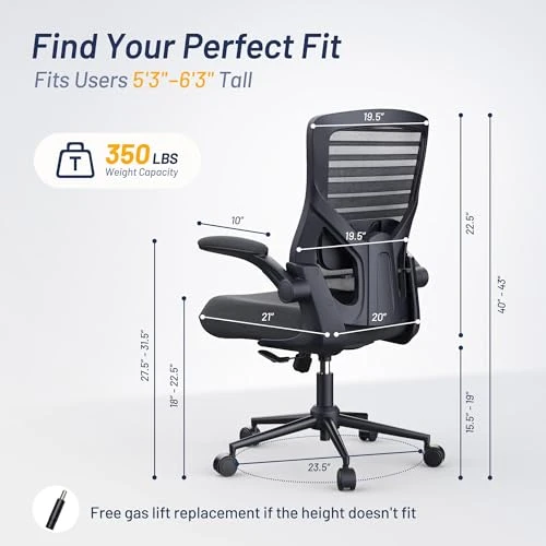 Office Desk Chair for Long Hours & Lower Back Pain Relief — Smart Chairs, QLTPLUS