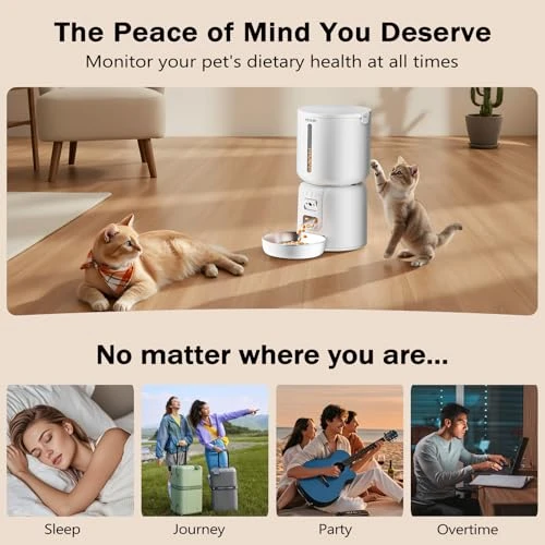 Automatic Pet Feeder with Camera — Automatic Pet Feeder, YIZFERN