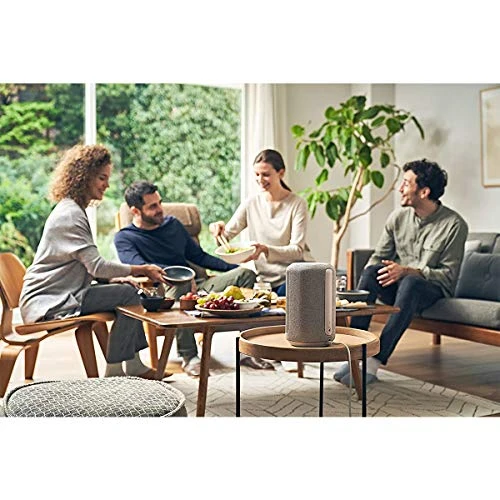 360 Reality Audio Wi-Fi/Bluetooth Wireless Speaker — Smart Speaker, Sony