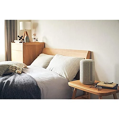 360 Reality Audio Wi-Fi/Bluetooth Wireless Speaker — Smart Speaker, Sony