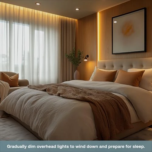 Simple Dimmer — Smart Switch, Deako