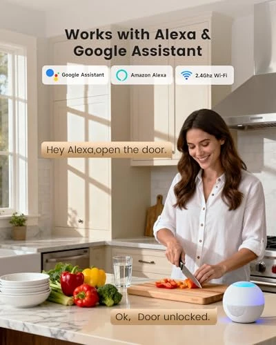 Smart Deadbolt Lock with Fingerprint and Keypad — Smart Lock, Lockzo