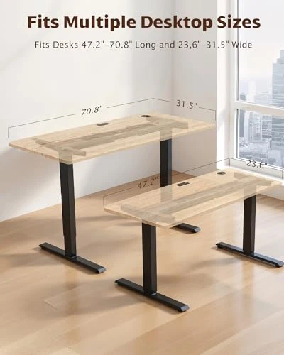 Dual Motor Electric Adjustable Standing Desk Frame — Office, TopSky