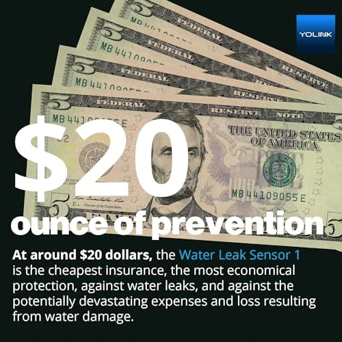 Smart Home Starter Kit with SpeakerHub and Water Leak Sensors — Water Shut Off Valve, YoLink