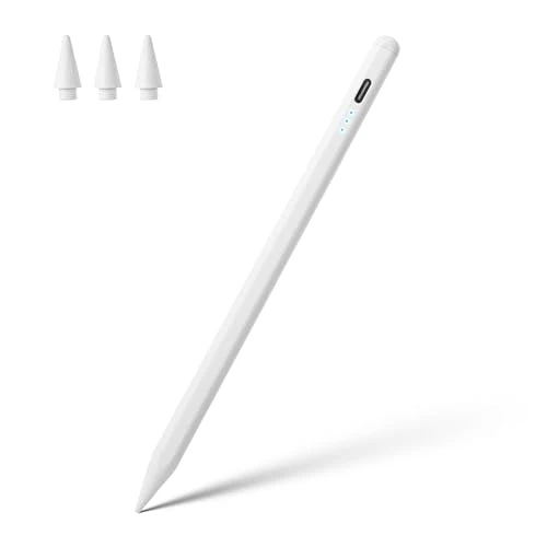 Stylus Pen for iPad, Waiktyne