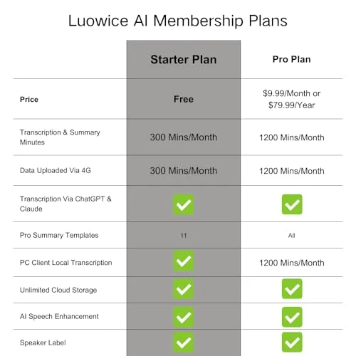 Voice Recorder with AI Transcription and Summarization, Luowice