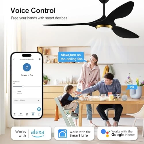 52 Inch Black Modern Ceiling Fan with Light and Remote Control — Smart Fan, reiga