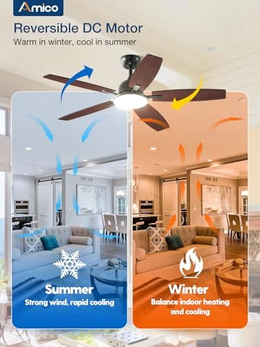 Ceiling Fan with Lights — Smart Fan, Amico