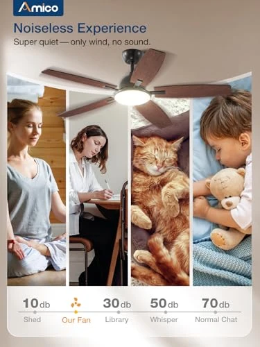 Ceiling Fan with Lights — Smart Fan, Amico