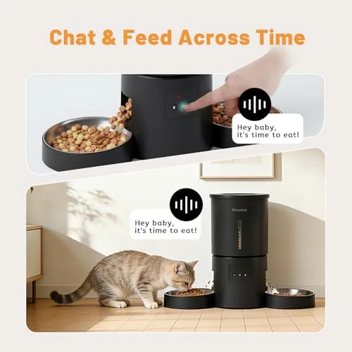 Automatic Cat Feeder with Dual Bowls — Automatic Pet Feeder, Miaosical