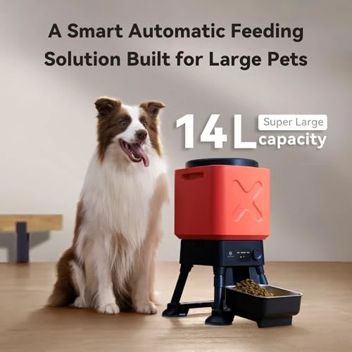 Automatic Dog Feeder for Large Dogs — Automatic Pet Feeder, MOLLY&CODY
