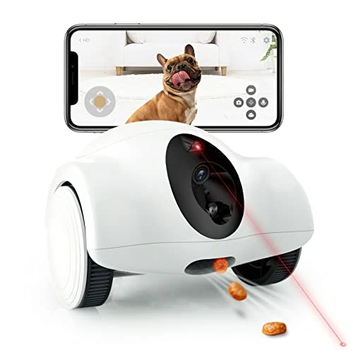 Movable Companion Robot for Pets — Robot Pet, OBEXX MORE THAN FUTURE