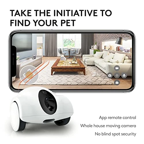 Movable Companion Robot for Pets — Robot Pet, OBEXX MORE THAN FUTURE