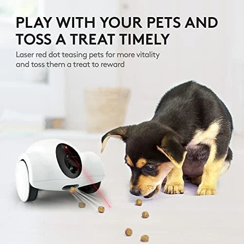 Movable Companion Robot for Pets — Robot Pet, OBEXX MORE THAN FUTURE