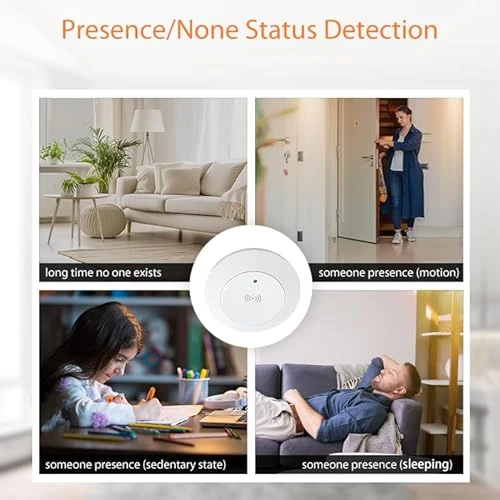 Human Presence Sensor with Light Switch, Haozee