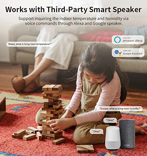 Temperature Humidity Monitor — Humidifier, RISOON