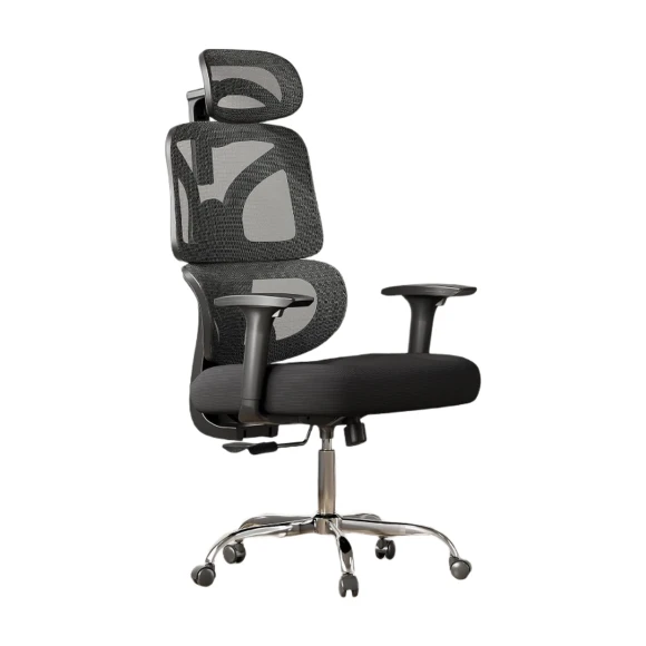 Big and Tall Reclining Ergonomic Desk Chair — Smart Chairs, DEVAISE
