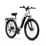 Electric Bike, Onesport