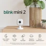 Превью Home Security & Pet Camera — Security Camera, Blink