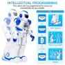 Превью Gesture Sensing RC Robot Toy for Kids, KingsDragon