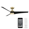 Превью Outdoor Ceiling Fan with Lights and Remote Control — Smart Fan, WAC Lighting