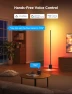 Превью Floor Lamp with RGBIC, Matter Support, Music Sync, Govee