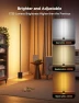 Превью Floor Lamp with RGBIC, Matter Support, Music Sync, Govee