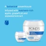 Превью Nourishing Face Moisturizer Cream, POND'S