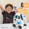 Interactive Dancing Robot Dog — Robot Pet, Draco