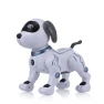 Electronic Pet Robot Dog — Robot Pet, Pig Boutique