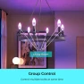 Превью Smart Light Bulbs — Smart Light Bulb, LUXFACT