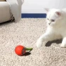 Interactive Cat Toy Rolling Ball — Automatic Cat Toy, All in Watch