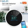 Smart WiFi LCD Gas Leak Detector, Ren Sexy Toy