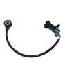 Wire detonation sensor, Tesla Car parts