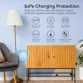 Превью Current Smart Wi-Fi Outlet with 2 Fast Charge USB Ports — Smart Plug, Geeni