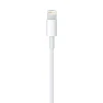 Превью Lightning to USB Cable, Apple