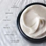Превью The Base Layer | Men's Organic Face Cream Moisturizer, Caldera + Lab