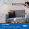Превью Smart In-Wall Outlet — Smart Plug, Tapo